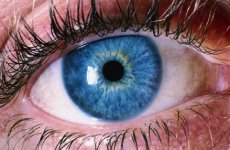blueeye_1