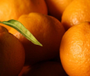 Latest Obsession: Satsuma
