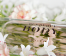 Review: Burberry Body Tender, Acqua di Gioia eau fraiche en Trussardi Delicate Rose