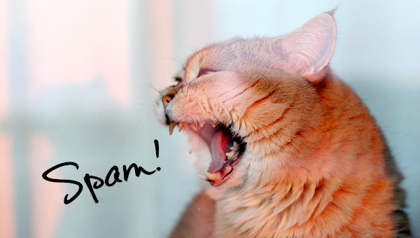 spam your blog