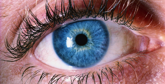 Bizarre Beauty: blauwe ogen op bestelling
