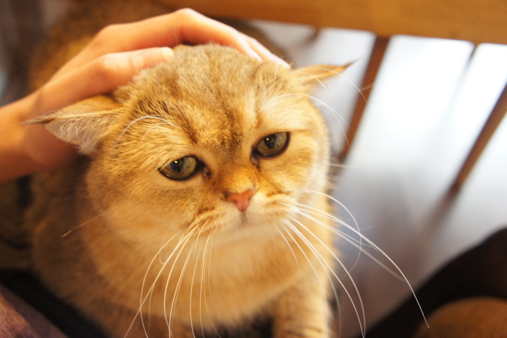 Personal: beetje meh