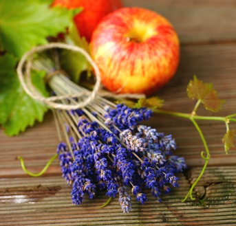 DIY: Apple & Lavender toner
