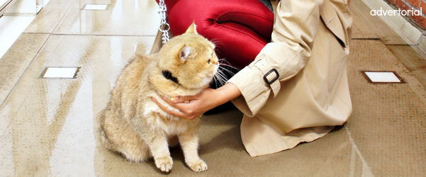 De oplossing tegen inbraak