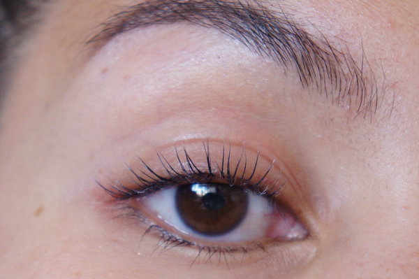 budgetstore mascara_04