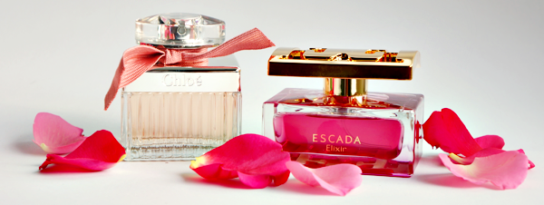 escada elixir_5