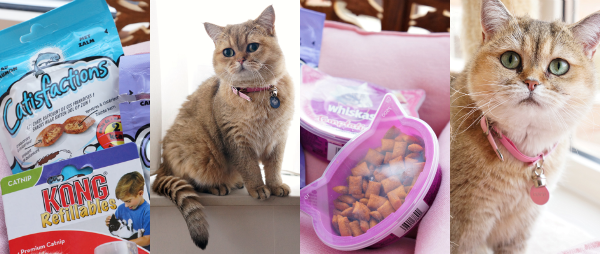 Speciale ‘Clarence & Coco’ Glossybox