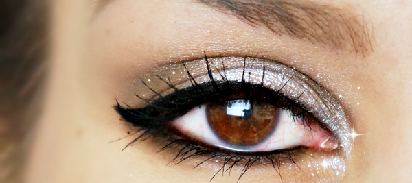 Sparkly Silver & Dark Brown eyelook