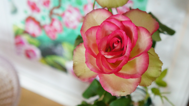 Bloemen in je interieur