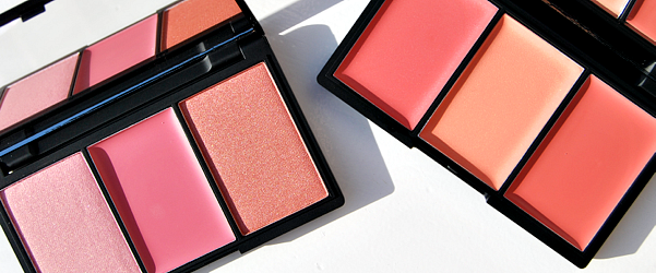 Sleek Blush by 3 palettes