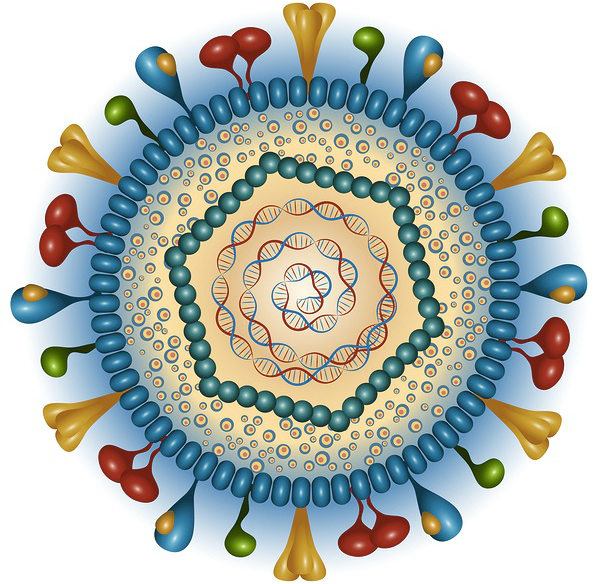 HSV particle