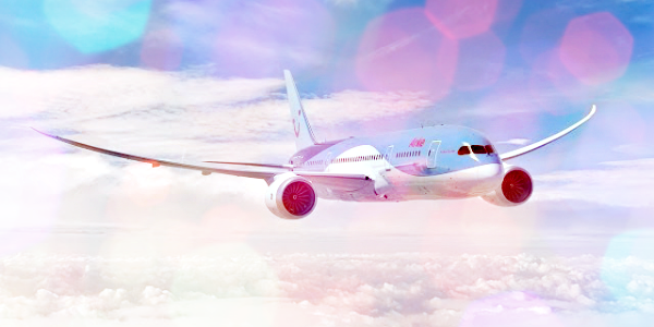 Arke Dreamliner rondvlucht