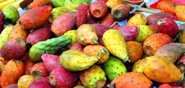 PRICKLY PEAR FRUITS