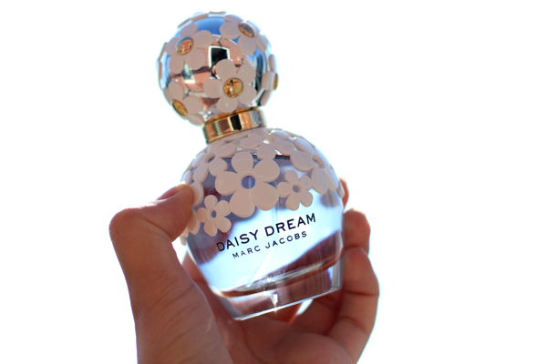 daisy dream review_3