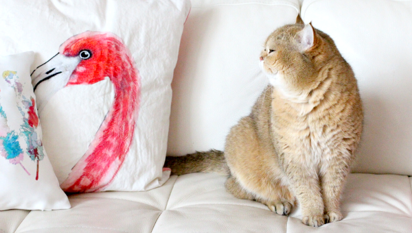 Lente shoplog