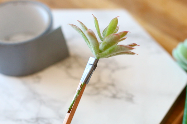 DIY vetplant pennenbakje - 7