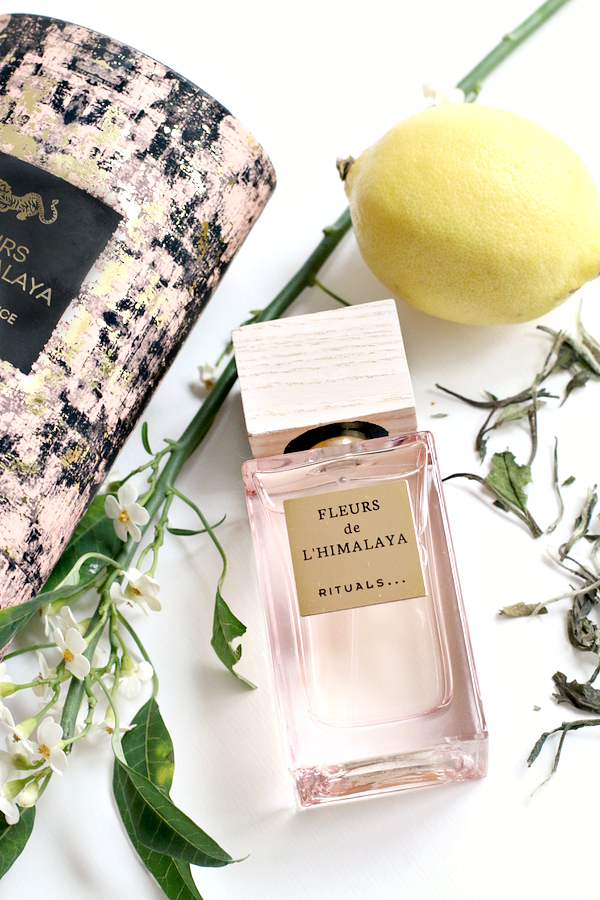 Gelovige Sociale wetenschappen Majestueus Rituals Oriental Essences parfum is wanderlust in een flesje (+ winactie) ⋆  Beautylab.nl