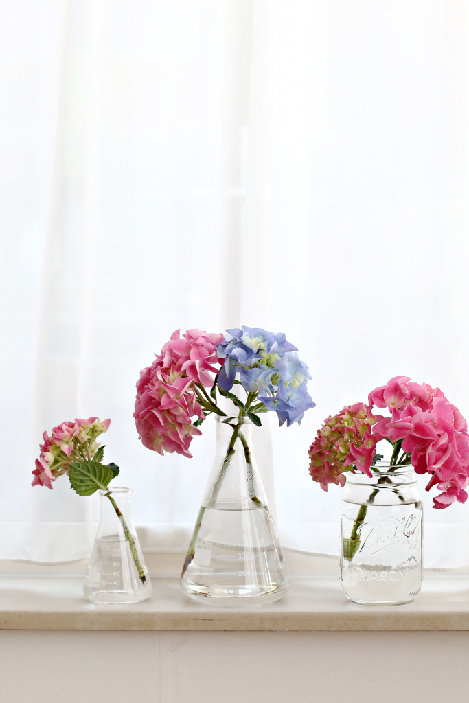 hortensia interieur_ - 8