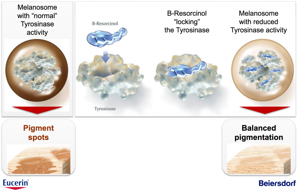 melanine tyrosinase