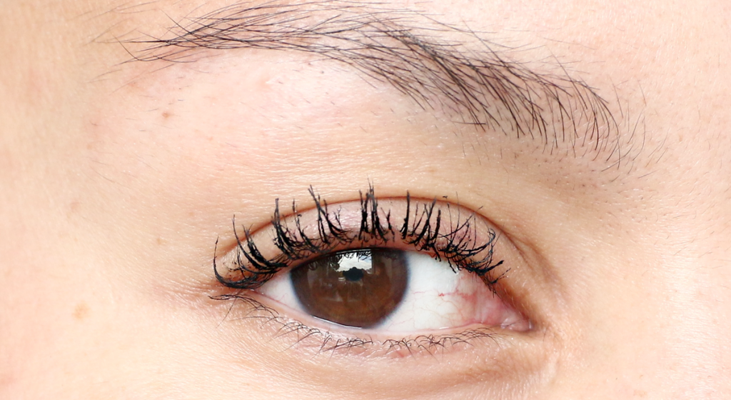 Update Lash Lift ⋆