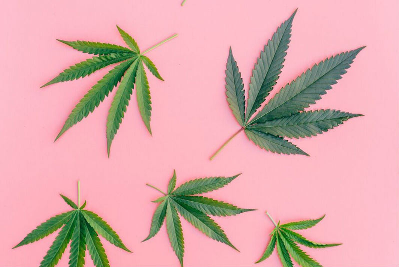 Dé nieuwste skincare trend: CBD (Cannabidiol)