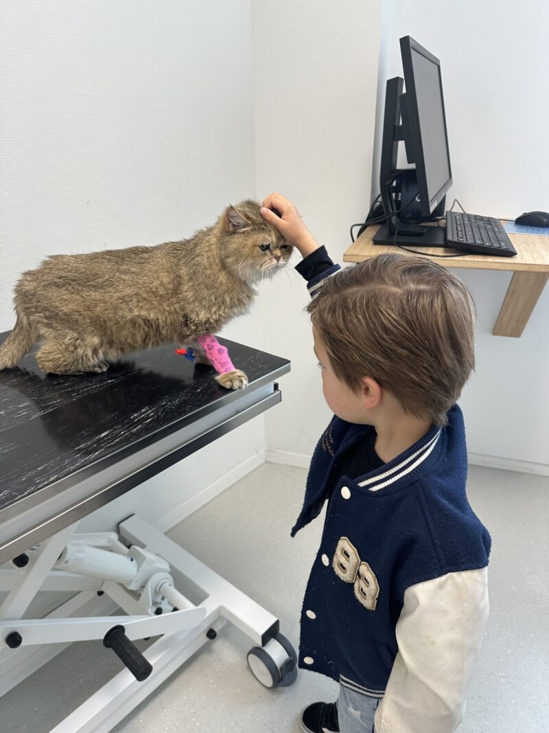 Clarence update