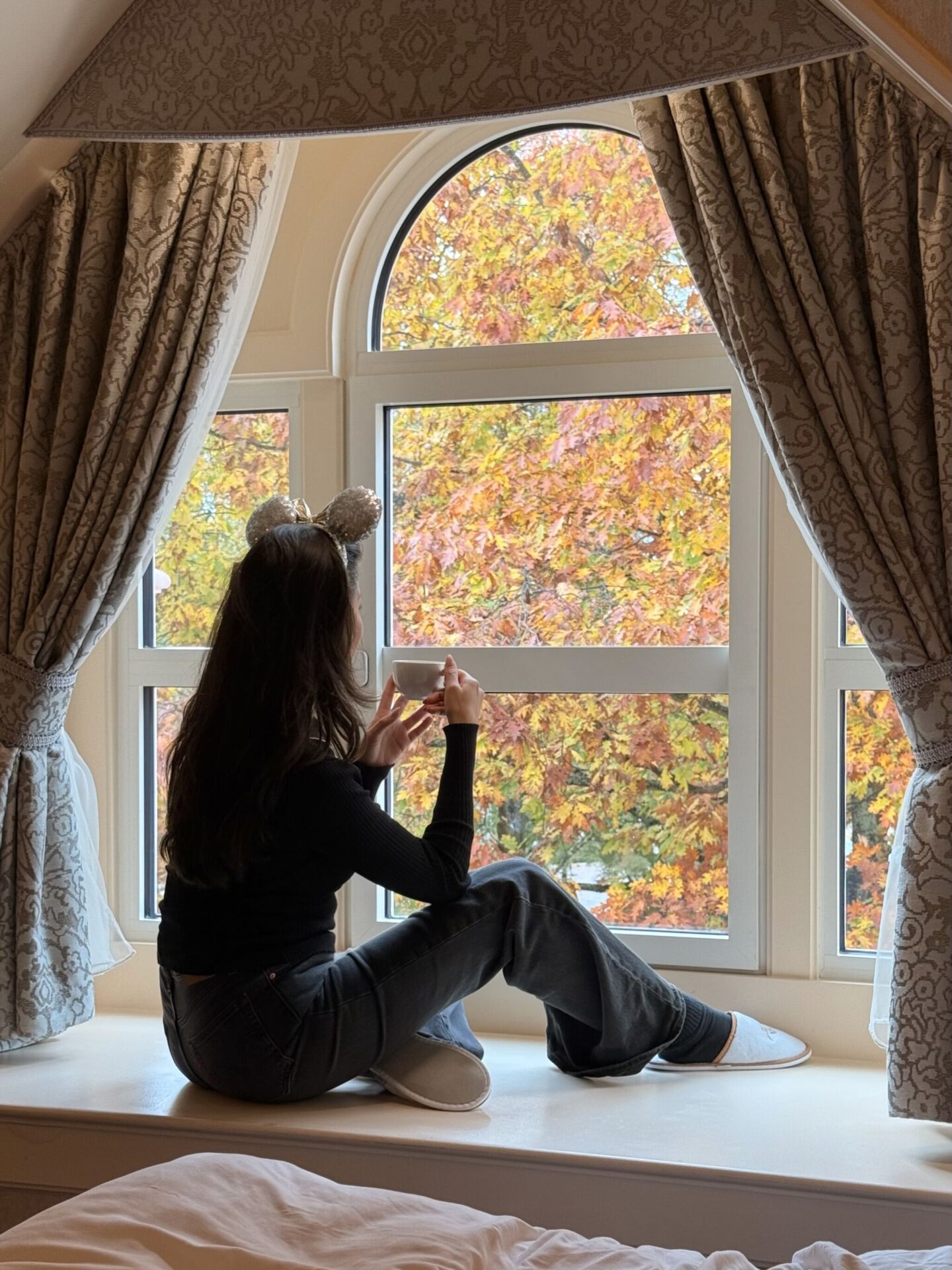 Overnachten in het Disneyland Hotel: een droom die uitkwam